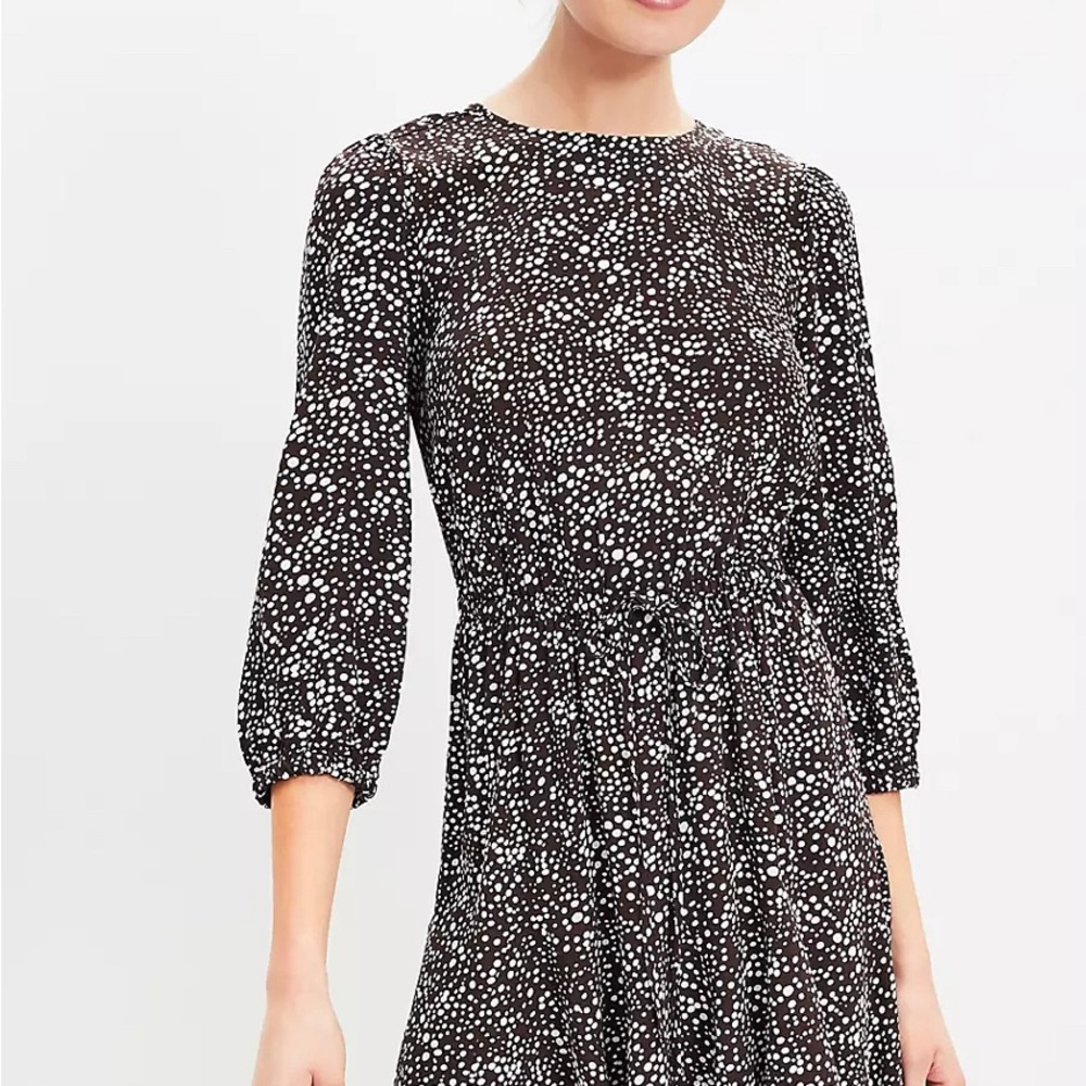 LOFT White and Brown Fit and Flare Dress with 3/4 Bishop Sleeves